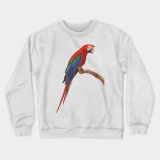 Red and Green Macaw Digital Painting Crewneck Sweatshirt